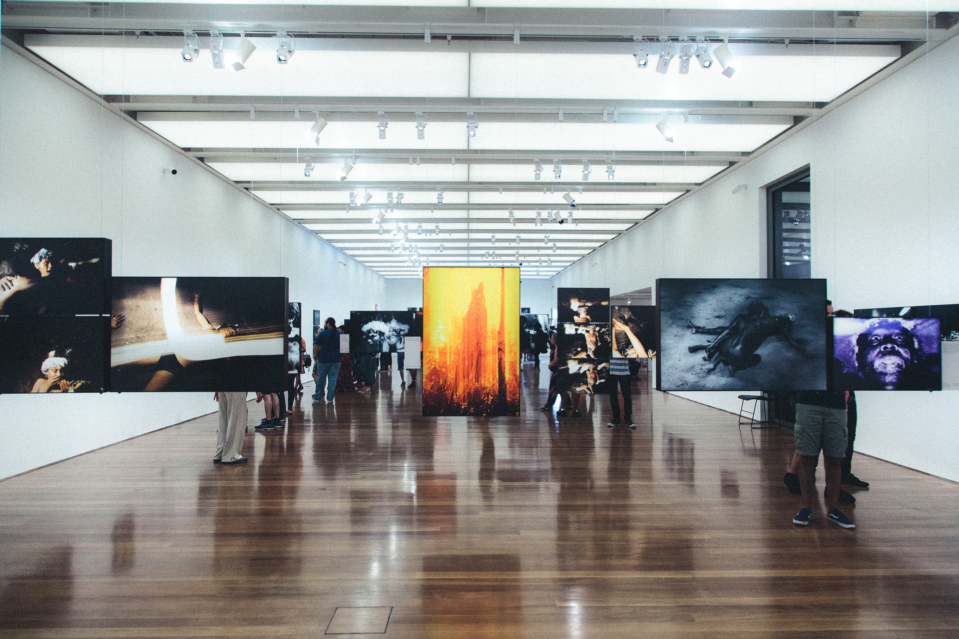Art at the University of Buffalo